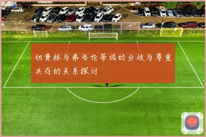 切费林与弗洛伦蒂诺的分歧与尊重共存的关系探讨