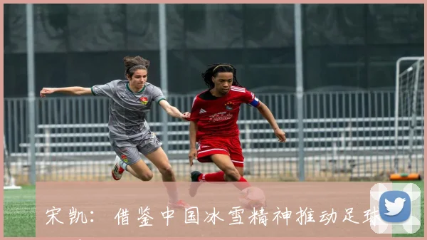 宋凯：借鉴中国冰雪精神推动足球发展实现坚守拼搏与科学专注的融合