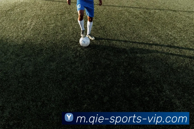 企鹅体育APP 封面图